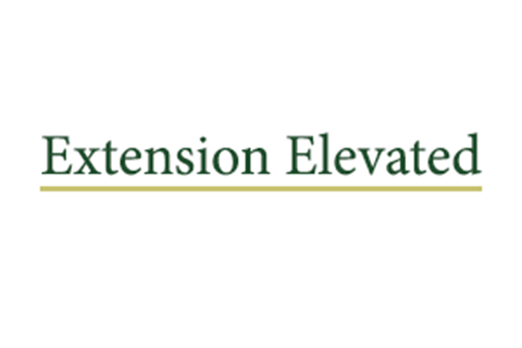 Extension Elevated