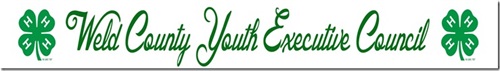 Youth Exec Council Banner.jpg