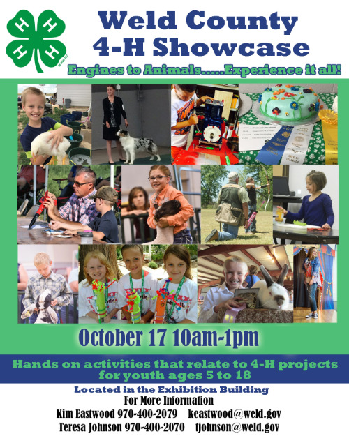 4-H Showcase is October 17th from 10 am - 1 pm