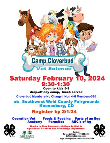 Camp Cloverbud Flyer