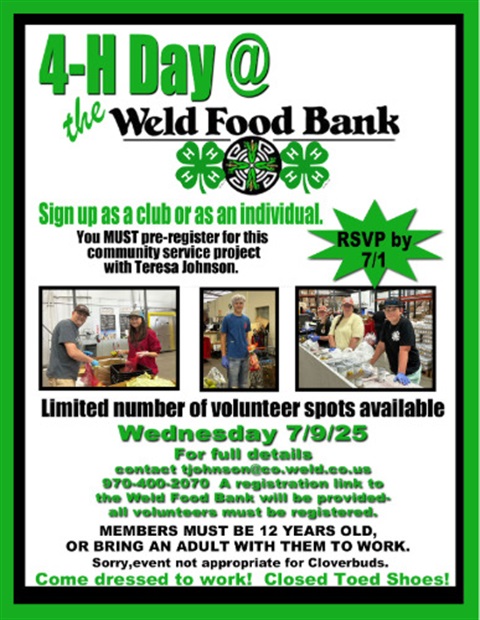 Food Bank Flyer
