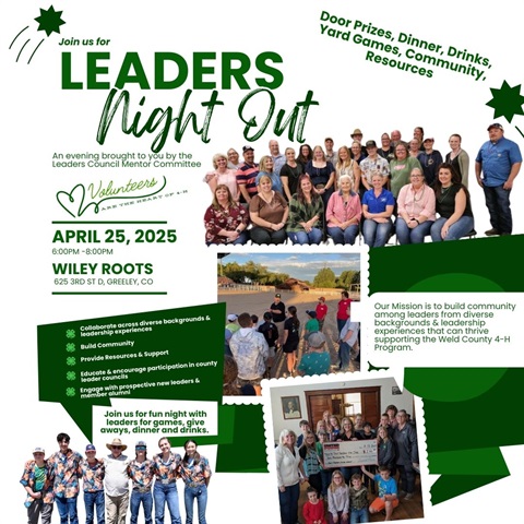 Leaders Night Out Flyer