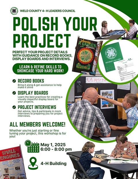 Polish your Project Flyer