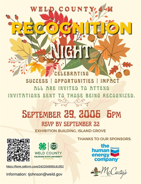 Recognition Night Flyer