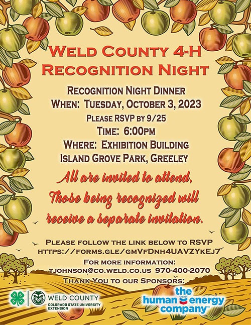 Recognition Night Flyer