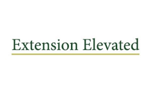 Extension Elevated Logo