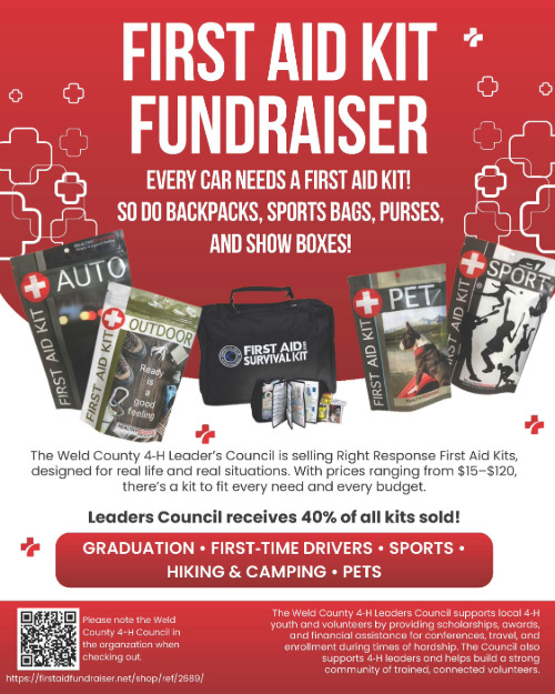 First Aid Kit Flyer