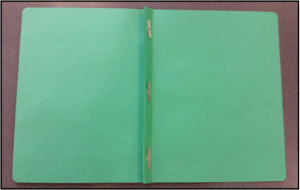 Record Book Cover with prongs
